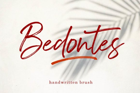 Bedontes: A Charming and Elegant Font for Web Design