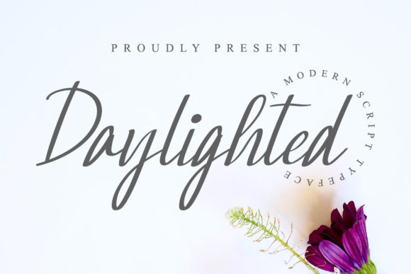 Elevate Your Web Design with Daylighted Font
