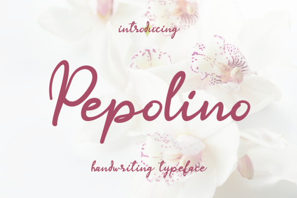 Elevate Your Web Design with Pepolino Font