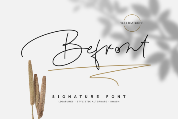 Enhance Your Brand with Befront: A Stylish Script Font