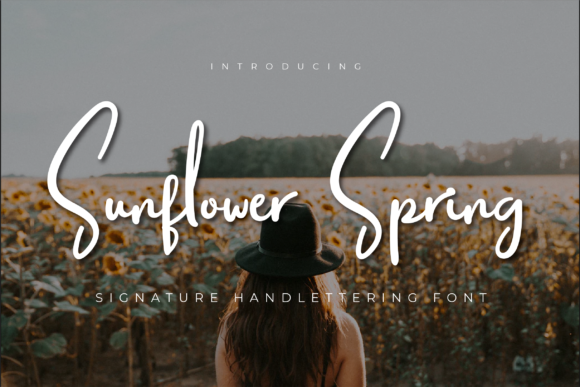 Enhance Your Web Design with Sunflower Spring Font