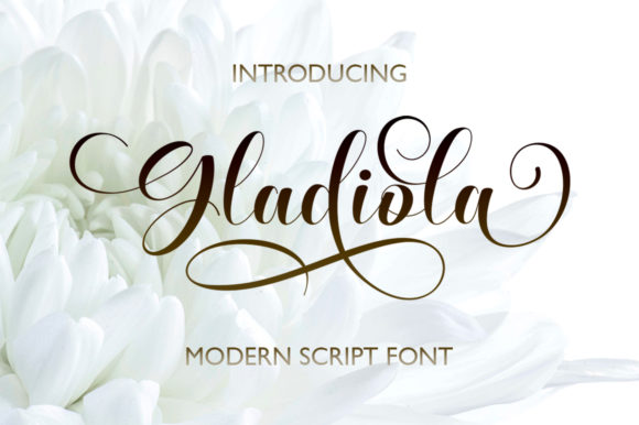 Gladiola: A Script Font for Elegant Campaign Designs